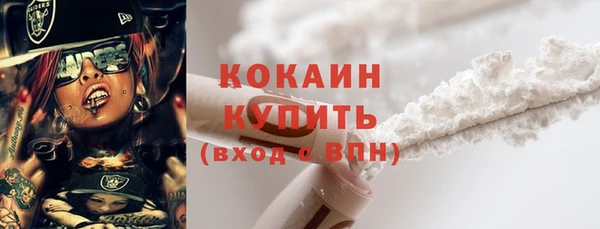 гашик Алексин
