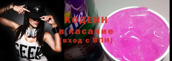 гашик Алексин