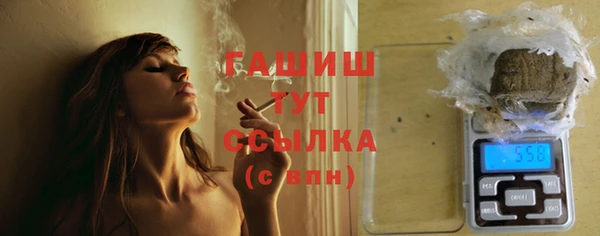 гашик Алексин