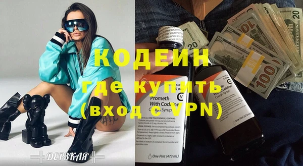 гашик Алексин
