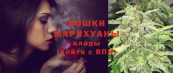 ешки Алзамай