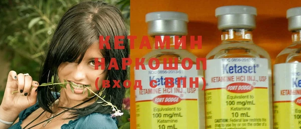 сатива Абинск