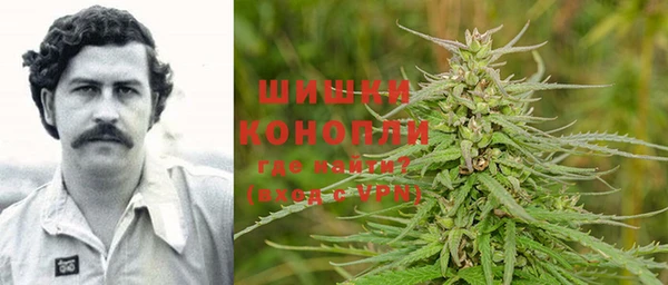 гашик Алексин