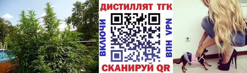Дистиллят ТГК THC oil  гидра зеркало  Полысаево 