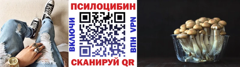 ссылка на мегу зеркало Полысаево Галлюциногенные грибы Psilocybine cubensis