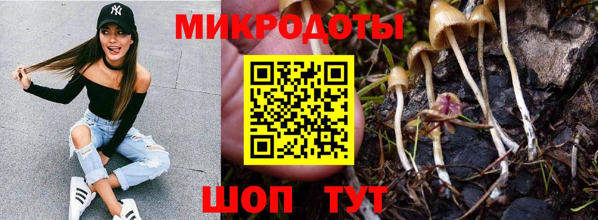 Галлюциногенные грибы Psilocybe  Галлюциногенные грибы GOLDEN TEACHER  Полысаево  Вход с VPN 