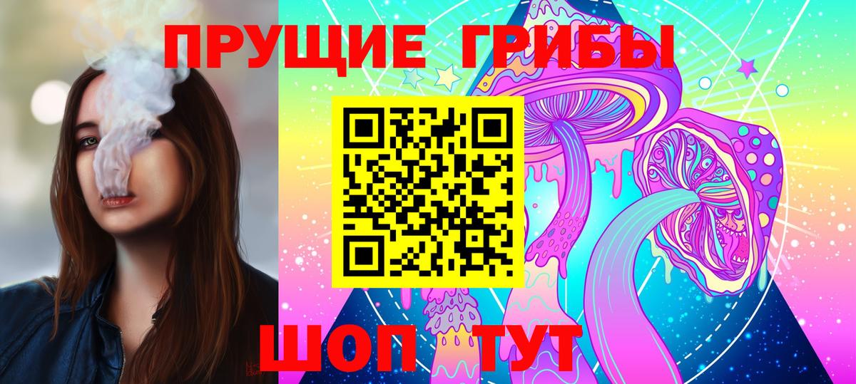 Галлюциногенные грибы Psilocybine cubensis Полысаево